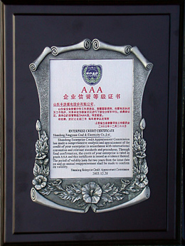 集團(tuán)榮譽